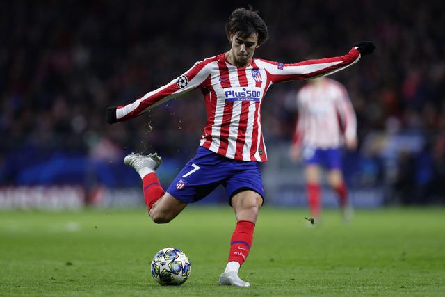 供了坚实的 供了坚实的